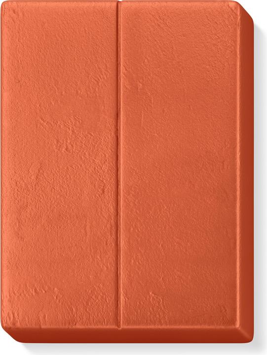 Image du produit Fimo Mod.masse Air light terrak