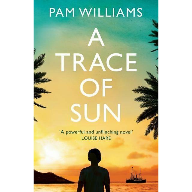 A Trace of Sun, Belletristik von Pam Williams