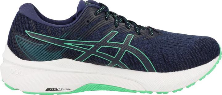 Actual product image ASICS Performance GT 2000 10 (45)