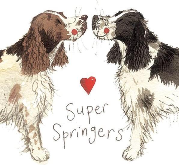 Produktbild Teka Magnet FM02 Springer Spaniel (1x)