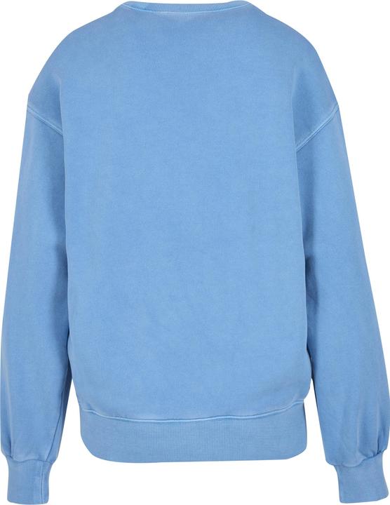 Image du produit Carhartt Sweat Nelson - 123743 (XS)