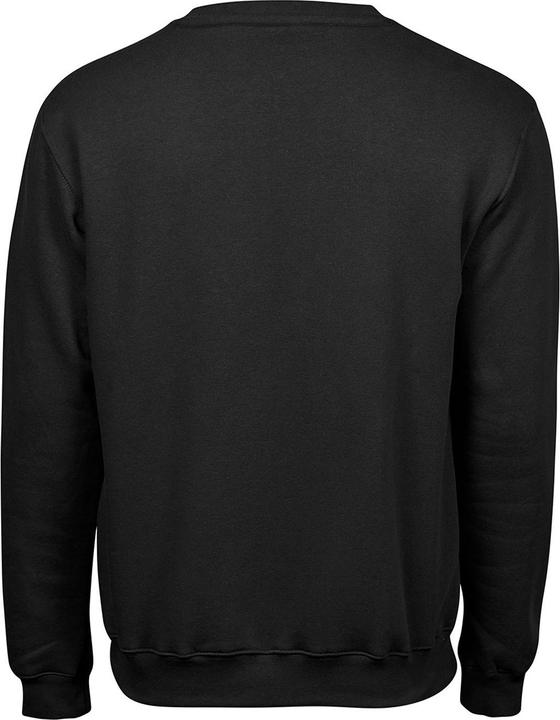 Immagine prodotto Tee Jays Felpa Pesante Uomo (L)