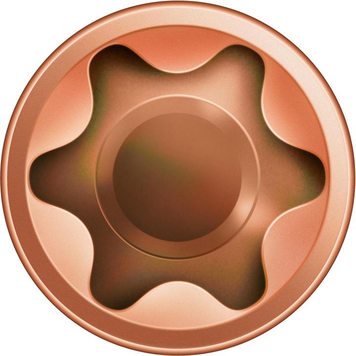 Produktbild Spax D Holzterrassenschraube mit Zylinderkopf 5.0x 50 Torx 25 Edelstahl A2 antik (1 Schrauben pro Stück)