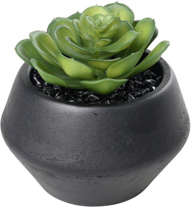 Immagine prodotto EGLO Kunstpflanze 11cm (11 cm)