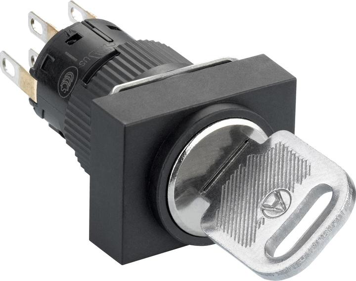 Actual product image Schneider Electric Key selector switch XB6EDG222P