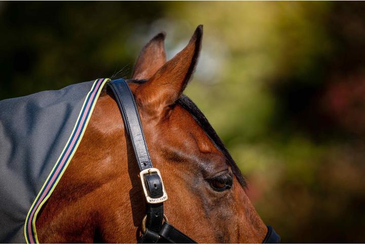 Produktbild Horseware Weidedecke Amigo Bravo 12 Plus TO lite 0g (130 cm)