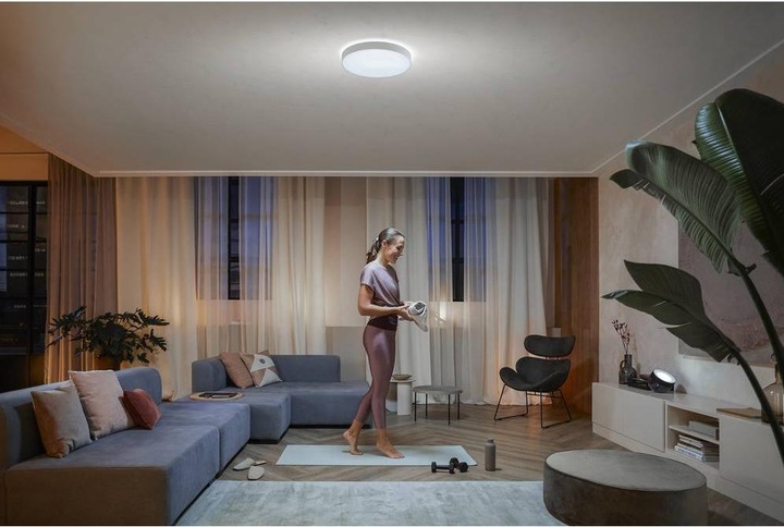 Actual product image Philips Hue White Ambiance Enrave (4300 lm)
