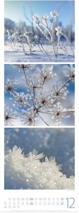 Image du produit NaturZeit Triplet-Kalender 2026 (24 x 66 cm, Allemand)