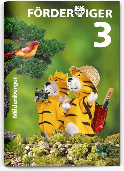 Produktbild Fördertiger 3 (Deutsch, Eva Schnitzer, Judith Heusch, Karlheinz A Kolster, Thomas Laubis, 2014)