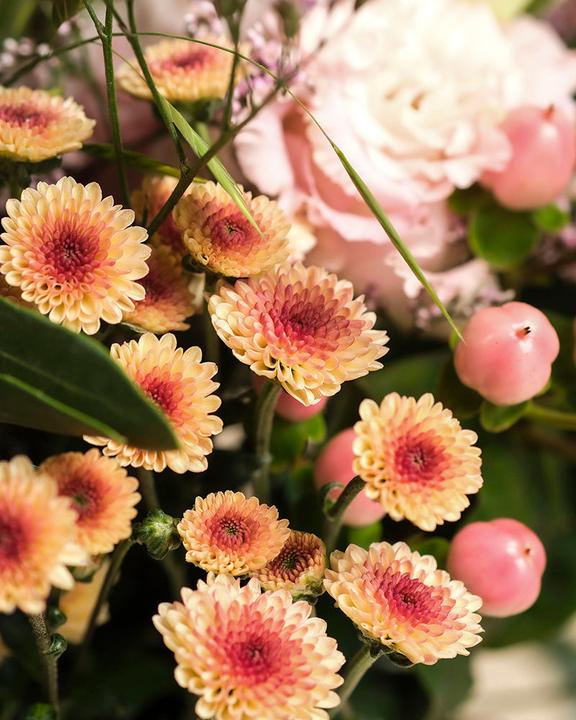 Image du produit feey Lumière du matin Deluxe (Fleurs coupées, 20x)