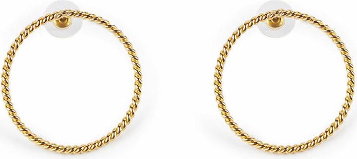 Suri Shiny Gold Earrings (Gold)