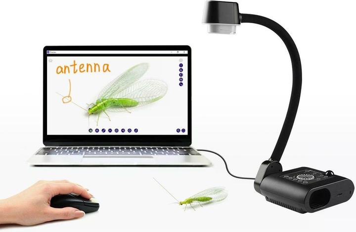 Actual product image AVer Document camera 13MPF50+ (4K)