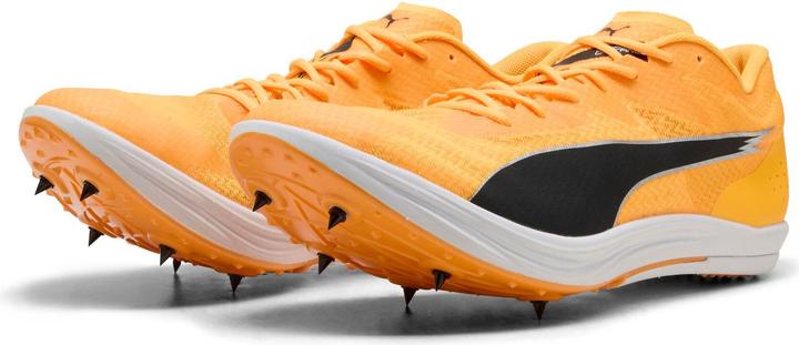 Produktbild Puma evoSPEED Long Distance (40)