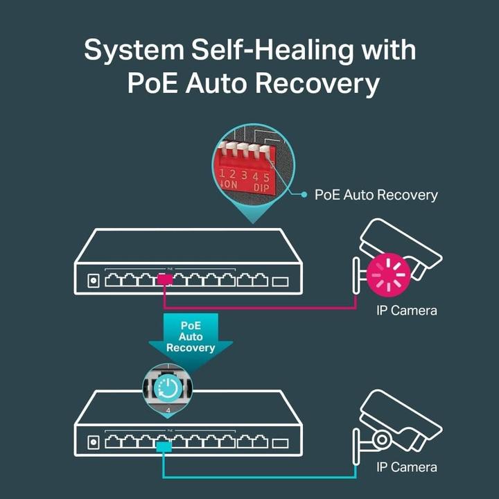 Actual product image TP-Link TL-SG1210MP (9 ports)