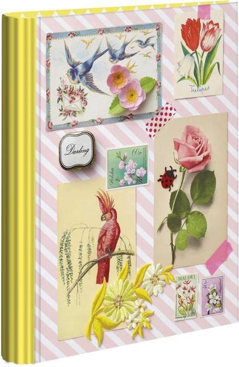 Image du produit Exacompta Ringbuch A4 Maxi aus Polypropylen mit 2 Ringen 30mm, Chromaline Pastell (40 mm, 5 pièce(s))