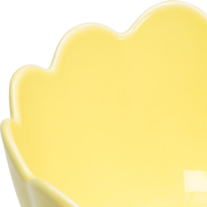Actual product image BYYU Scallop (13.50 cm)
