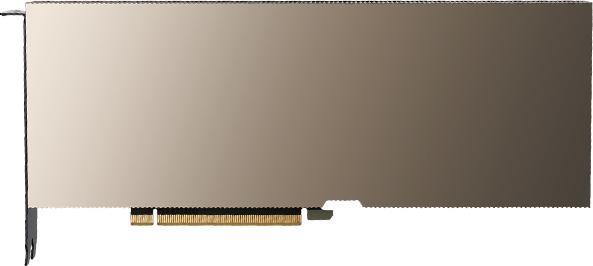 Actual product image PNY NVIDIA A100 Modul 80GB HBM2+++ (80 GB)