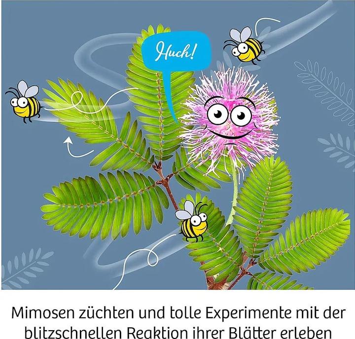 Produktbild Kosmos Mimosen-Garten