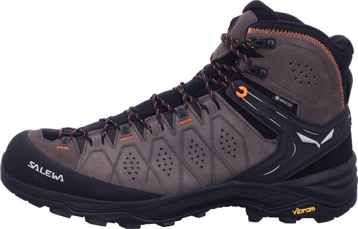 Produktbild Salewa Alp Trainer 2 Mid GTX Schuhe (47)