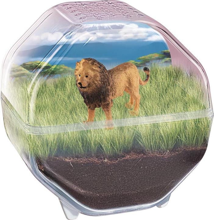 Produktbild Clementoni Science &amp Play Mein wildes Terrarium - Löwe