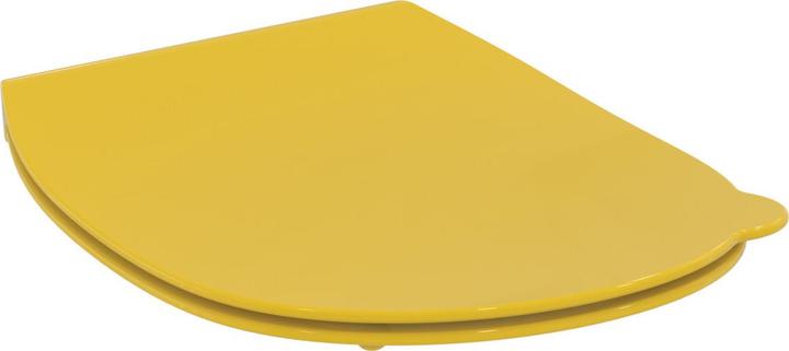 Actual product image Ideal Standard Contour 21 Children WC seat Schools S4536