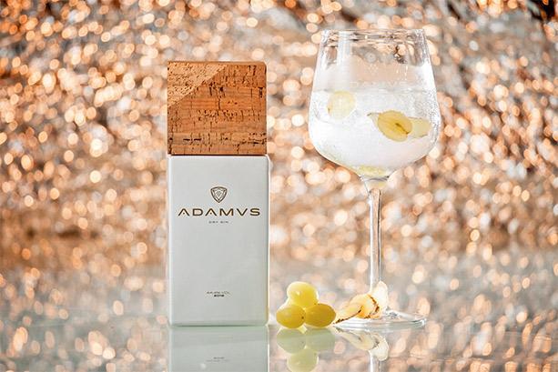 Immagine prodotto Adamus Gin secco (1 x 70 cl)