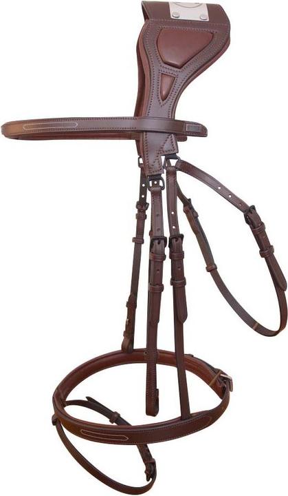 Produktbild TdeT Chagall