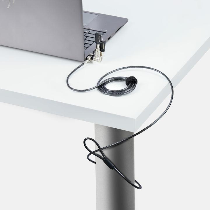 Productafbeelding StarTech com 25-pak Universele laptopsloten 6,6ft, gelijksluitende kabel met sleutel, veiligheidskabel