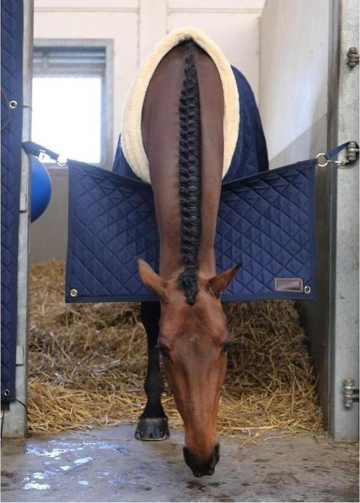 Produktbild Kentucky Horsewear Boxentürvorhang “Stable Guard”