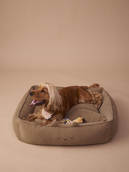 Produktbild Vertbaudet Gepolstertes Hundebett aus Feincord, in 3 Grössen erhältlich (Hund)