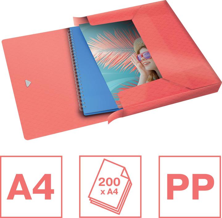 Actual product image Esselte Box File Colour'Breeze (A4, 1x)
