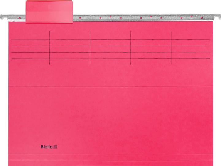 Actual product image Biella Suspension file set Original (A4, 5 x)