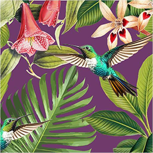 Image du produit Braun Serviettes de table (20 pcs, 33 x 33 cm)
