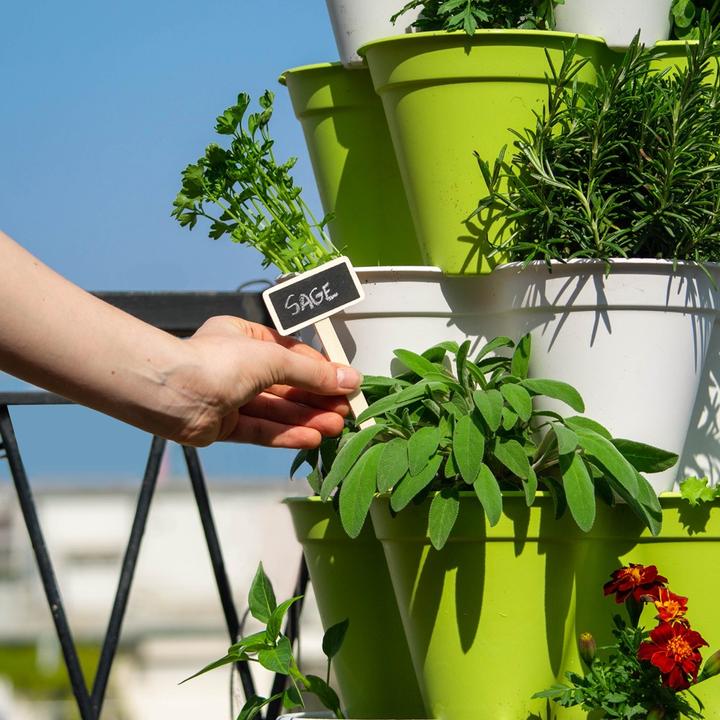 Produktbild Hexagro Poty S Kit Bundle - Starter Kit