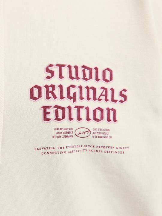 Immagine prodotto Jack & Jones Plus Size Kapuzenpullover Kapuzenpullover (4XL)