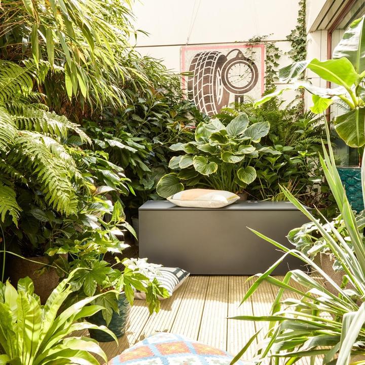 Immagine prodotto Conmoto Riva