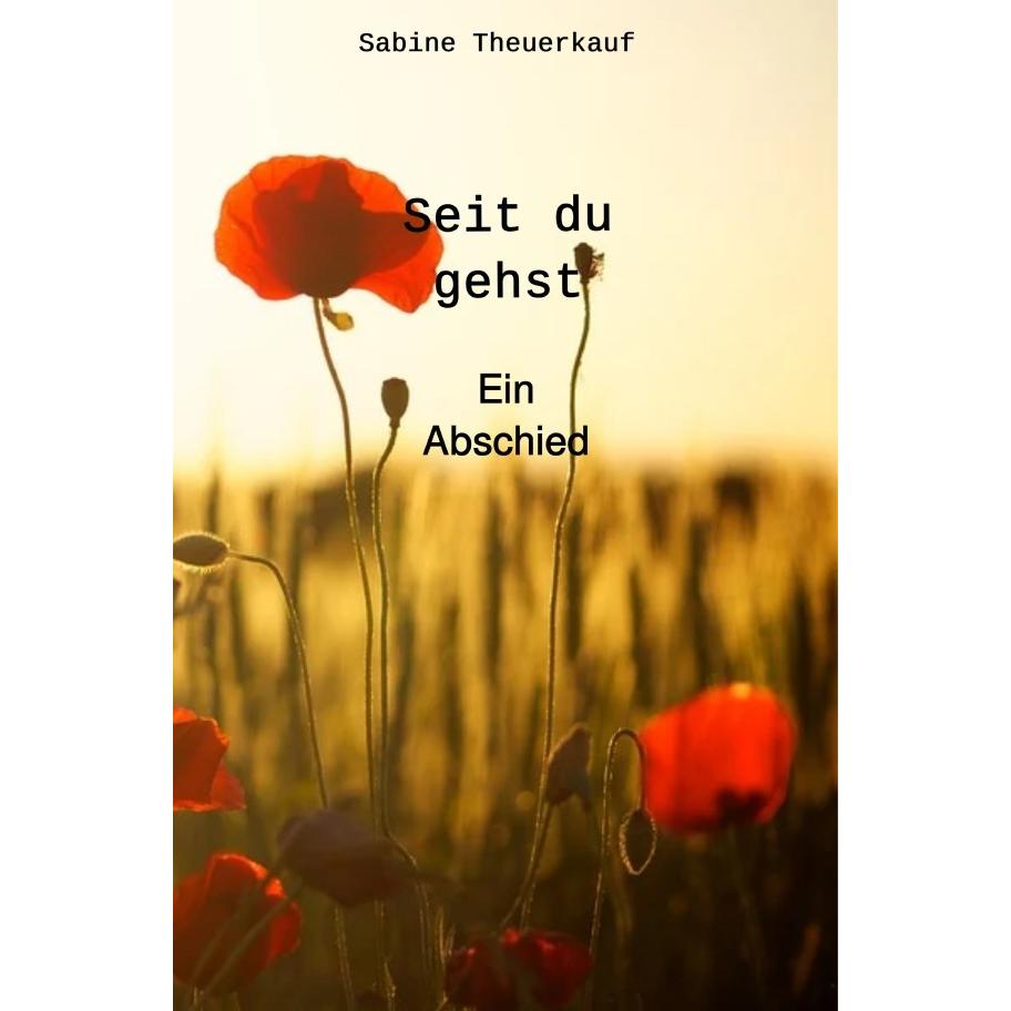 Seit du gehst, Belletristik von Sabine Theuerkauf