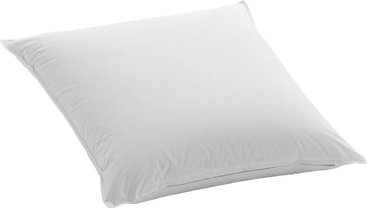 Actual product image Dauny Capa Piuma (65 x 65 cm)