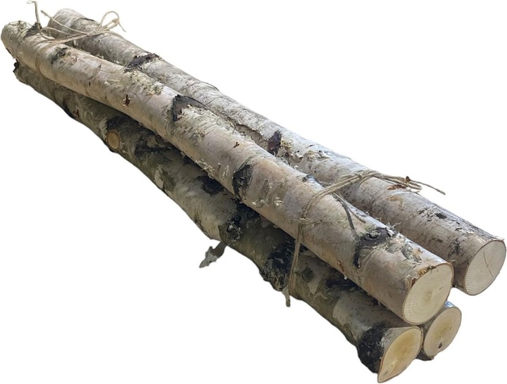 Actual product image Natura Punto Birch wood branches for decoration