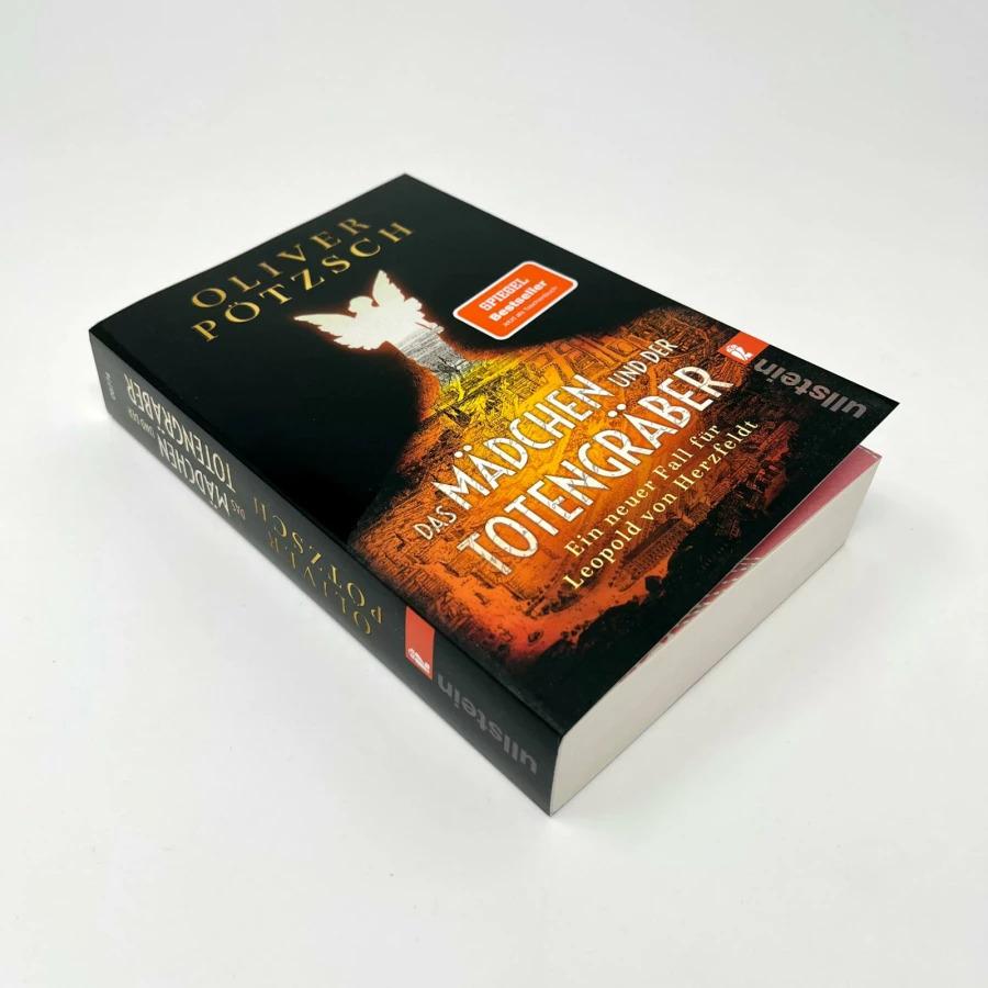 Thumbnail - Das Mädchen und der Totengräber (Die Totengräber-Serie 2), Belletristik von Oliver Pötzsch