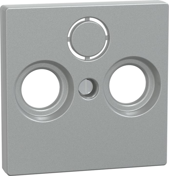 Aluminium