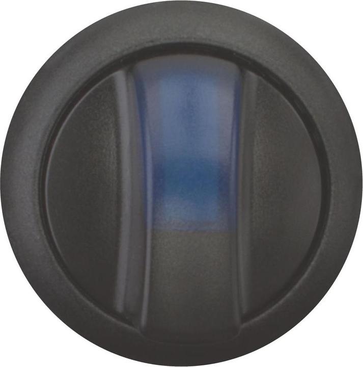 Black, Blue