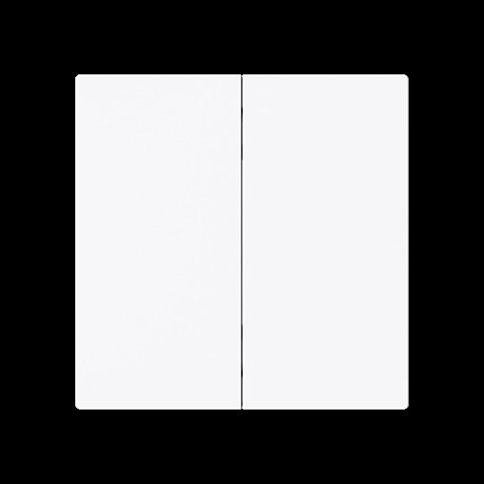 Busch-Jaeger, Lichtschalter + Storenschalter, Wippe 2-fach Smart Switch