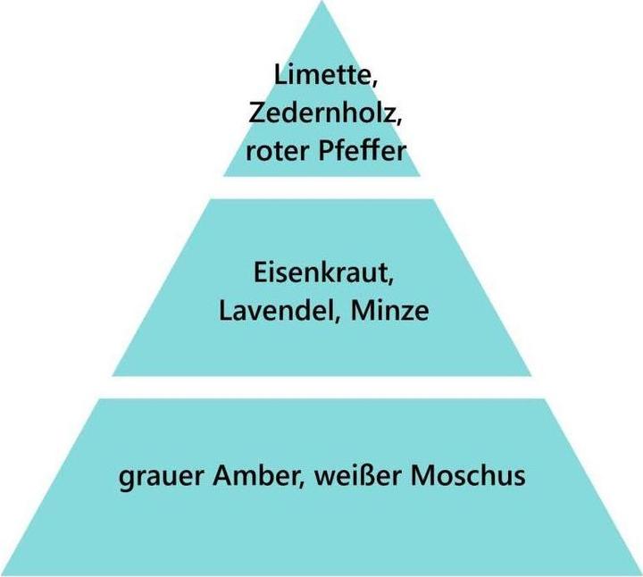 Image du produit Maison Berger Duft Zeste de Verveine (500 ml)