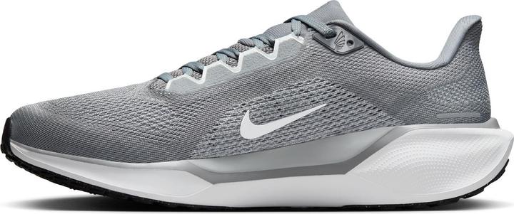 Produktbild Nike Pegasus 41 (45.5)