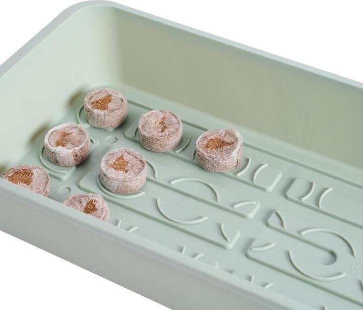 Actual product image Siena Garden Indoor greenhouses