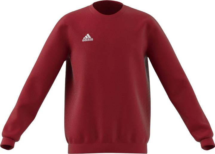 adidas Entrada 22 Sweatshirt Kinder (176)