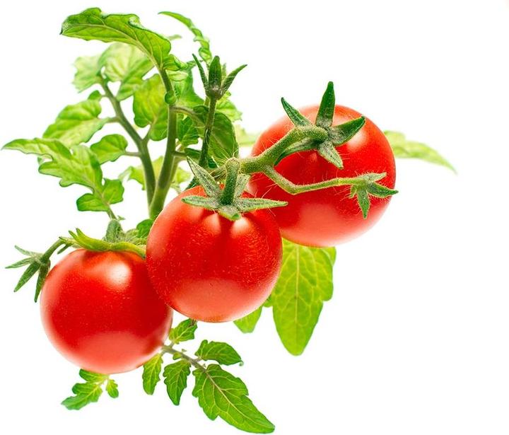 Produktbild Click and Grow Mini-Tomaten (Gemüsesamen)