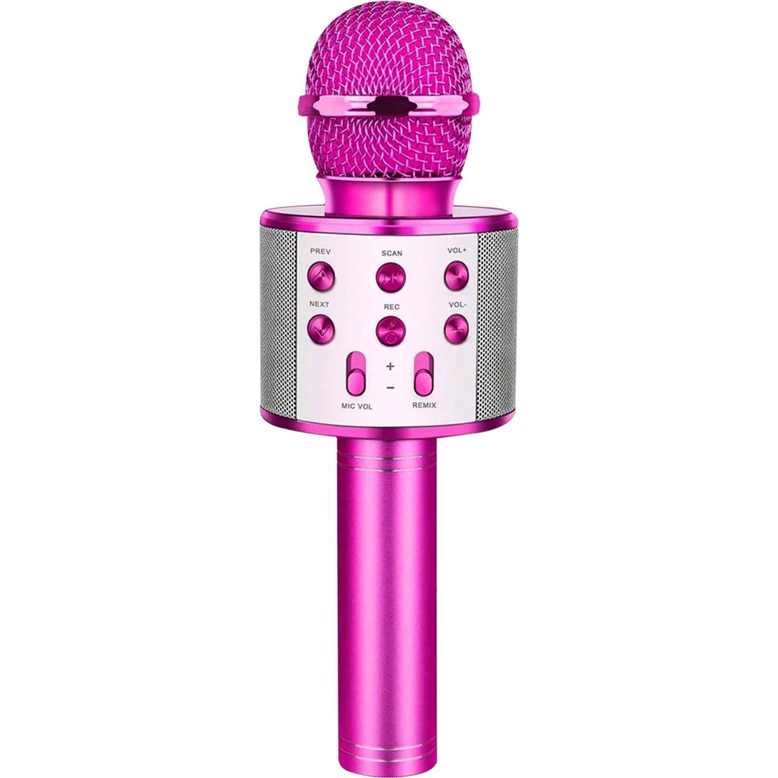 Avizar CR58 Karaoke-Mikrofon
