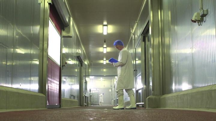 Actual product image Dunlop NIMWEGEN PU-STIEFEL Purofort® CA61131 (S4, 42)